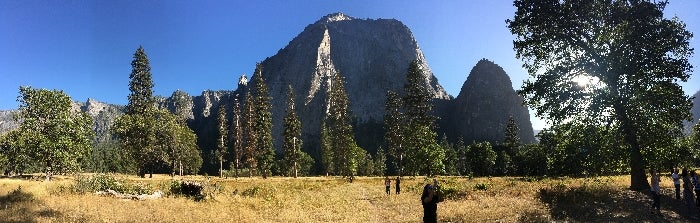 Yosemite National Park Full Day Tour Tripster