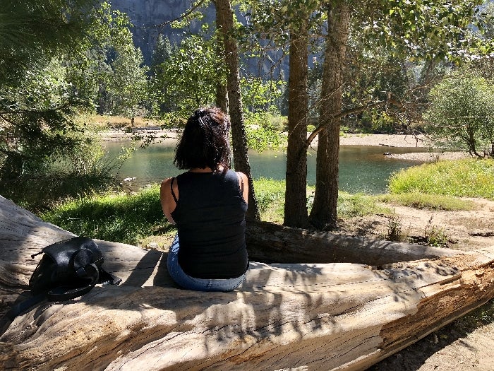 Yosemite National Park Full Day Tour Tripster