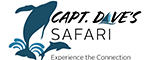 Captain Dave's Dolphin & Whale Safari - Dana Point, CA Logo