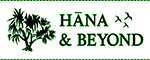 Hana and Beyond Tour Logo
