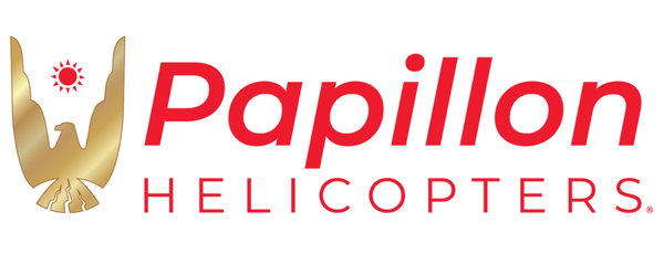 Las Vegas Strip Highlights Night Flight With Hotel Transfers  - Las Vegas, NV Logo