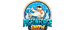 Pigeon Forge Snow - Indoor Snow Tubing - Pigeon Forge, TN Logo