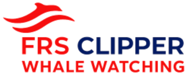 Seattle Wildlife & Whale Watching Tour - Seattle, WA Logo