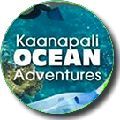 Snorkel Tour to Lanai Half Day - Lahaina, HI Logo