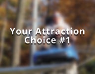Your Choice of Attractions