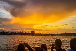 Your Choice of Attractions