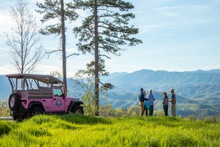 Your Choice of Attractions