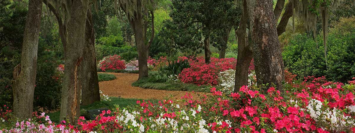 Bok Tower Gardens in Lake Wales, Florida