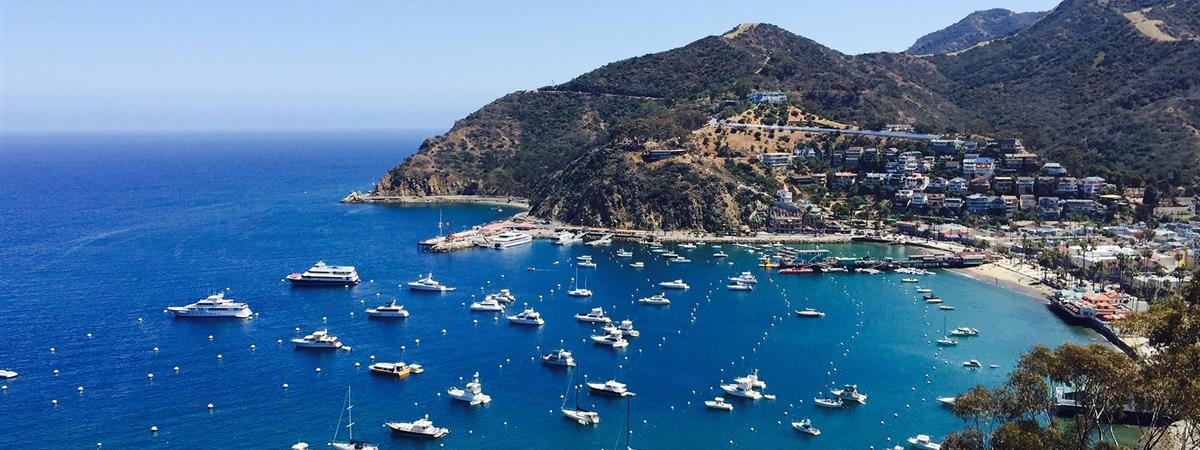 Catalina Island Day in Paradise with Transportation in Avalon, California