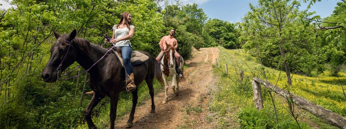 Five Oaks Riding Stables in Sevierville, Tennessee