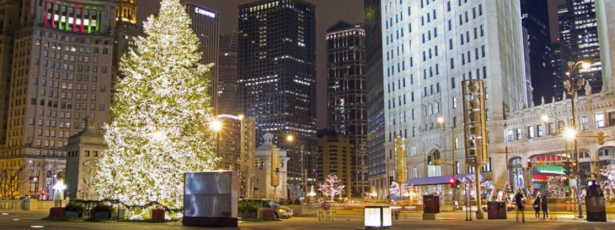 Holiday Lights Tour in Chicago, Illinois