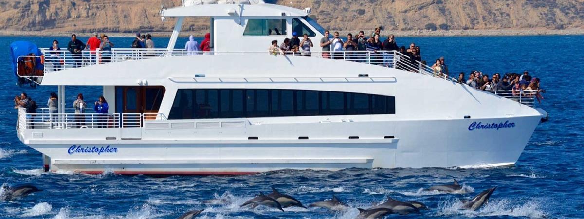Whale Watching and Dolphin Tour in Long Beach, California