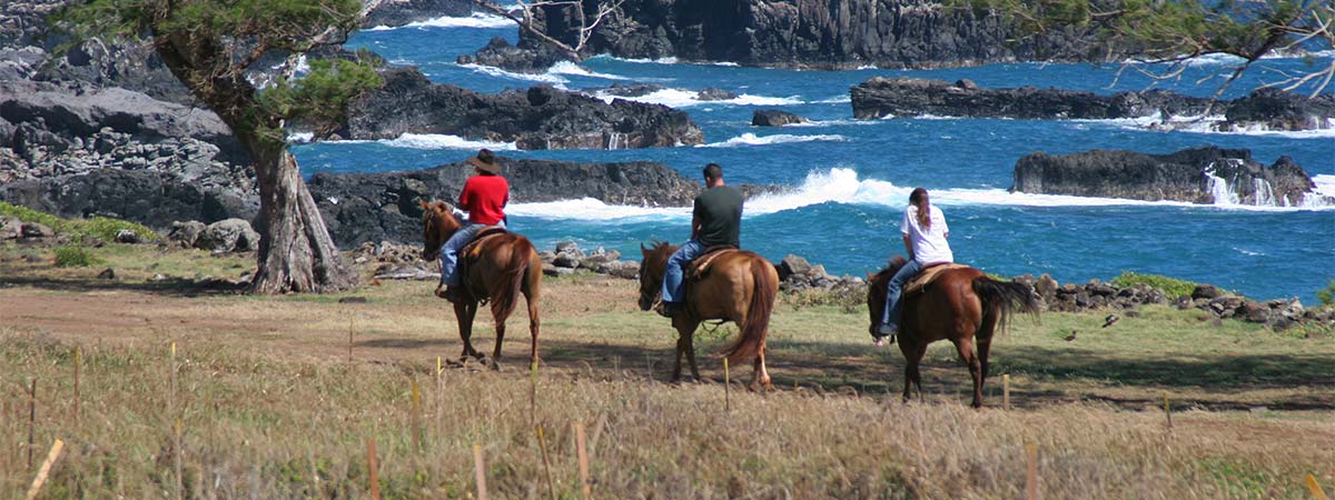 Mendes Ranch and Trail Rides - Maui in Wailuku, Maui, Hawaii
