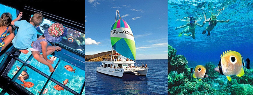 Molokini Snorkel Trip Aboard the Four Winds II in Maalaea, Maui, Hawaii