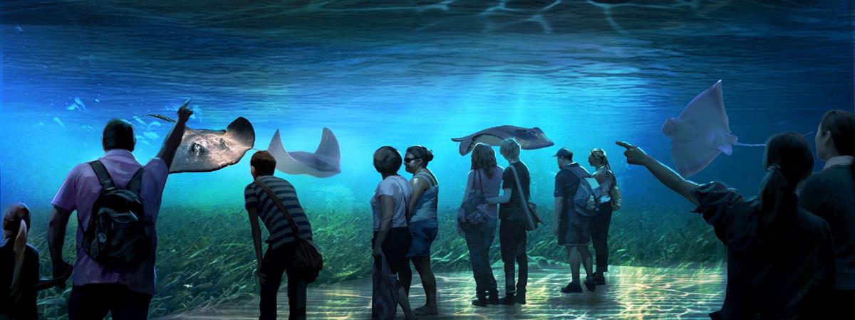 National Geographic Encounter: Ocean Odyssey in New York, New York