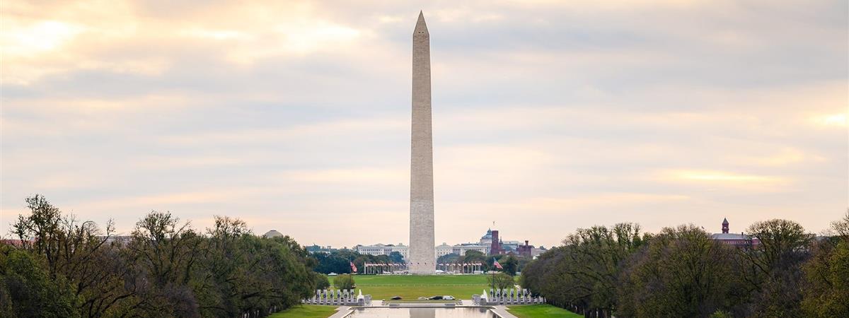 The National Mall: Washington DC Private Half-Day Walking Tour in Washington DC, District of Columbia