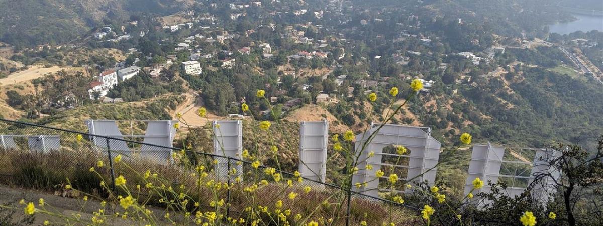 Private Hike to Mt Hollywood in Los Angeles, California