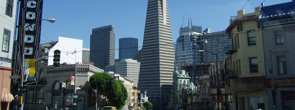 Super Saver by Day Tour - City Tour & Redwoods Visit in San Fransisco, California