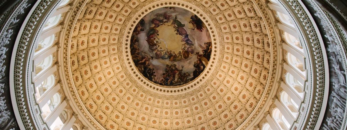 U.S. Capitol Building and Capitol Hill Walking Tour in Washington, District of Columbia