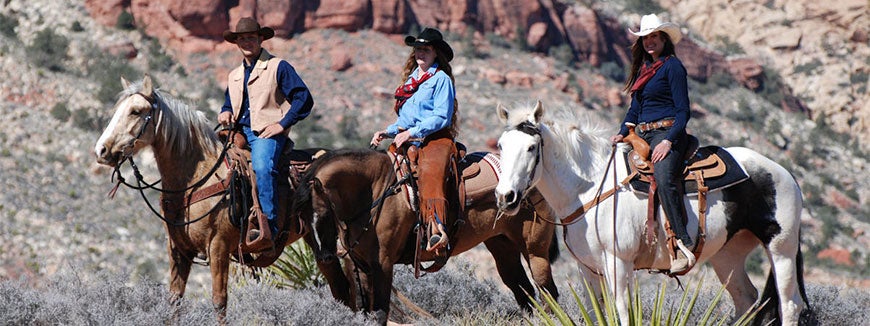Wild West Horseback Adventures in Moapa Valley, Nevada