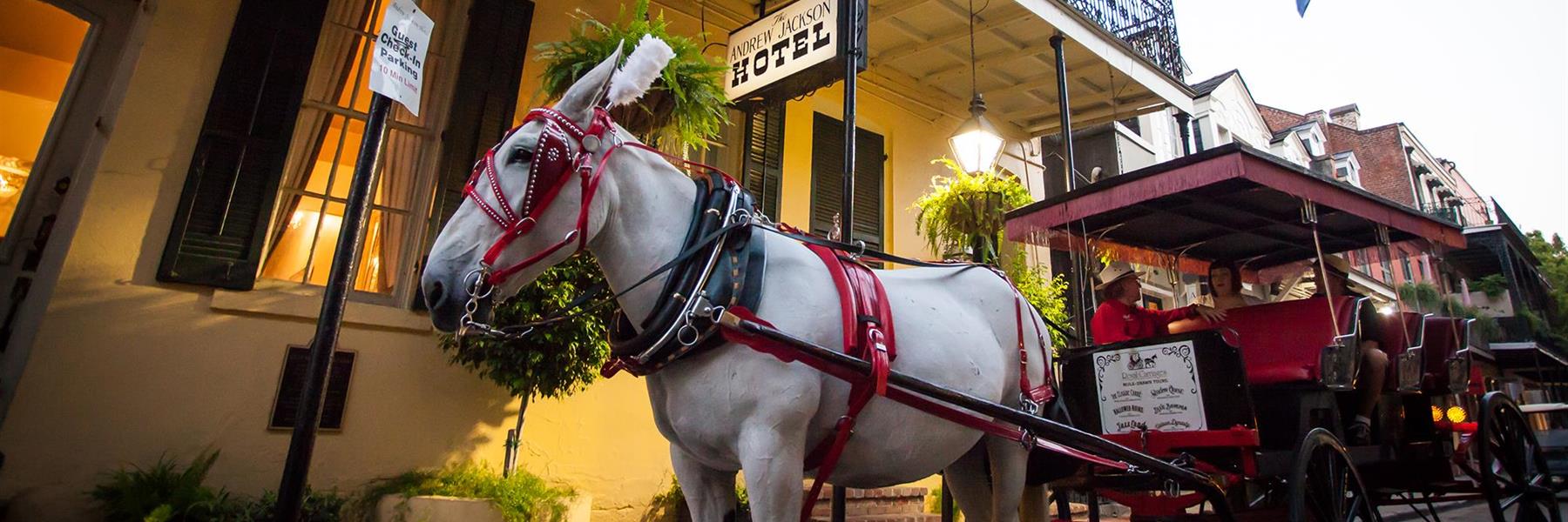 French Quarter Carriage Tours in New Orleans, Louisiana