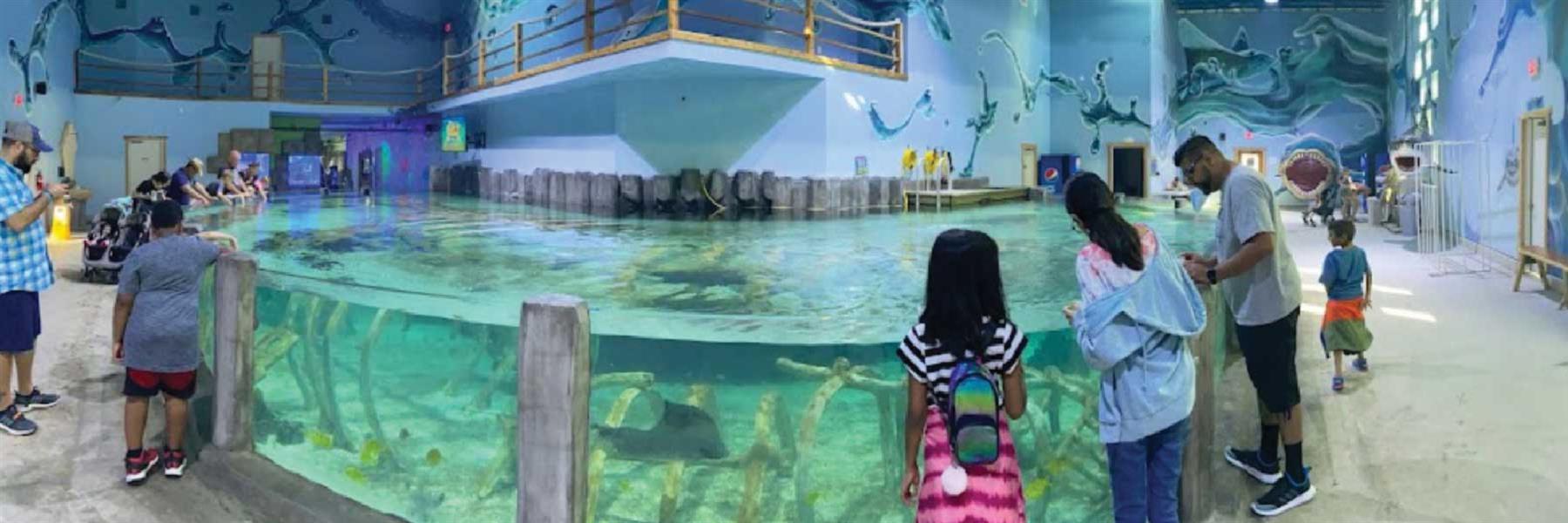Houston Interactive Aquarium & Animal Preserve in Humble, Texas
