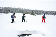 Alaska Snowshoeing Tours - Anchorage, AK