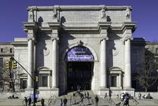 American Museum of Natural History in New York, New York