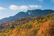 The Best of Asheville: Private Highlights Tour in Asheville, North Carolina