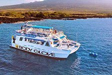 Deluxe Snorkel & Dolphin Watch - Kailua Kona, Big Island, HI