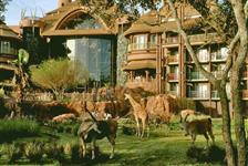 Disney's Animal Kingdom Lodge in Lake Buena Vista, Florida