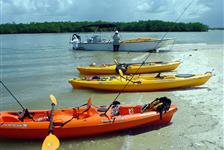 Everglades National Park Boat Assisted Kayak Eco Tour - Chokoloskee Island, FL