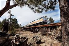 The Grand Canyon Railway in Williams, Arizona