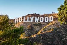Los Angeles Iconic Highlights: Private Half-Day Driving Tour in Los Angeles, California