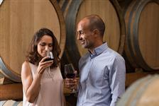 Half Day Wine Country Experience with Tastings in San Francisco, California