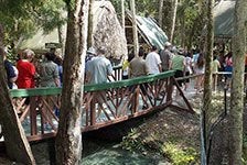 Jungle Adventures Nature Park & Zoo - Christmas, FL