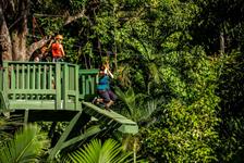 Jungle Zipline Maui Eco Tour - Haiku, HI