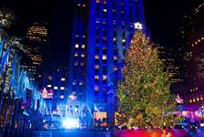 New York Holiday Markets and Christmas Lights Tour - New York, NY