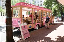 Pink Trolley City Tour of Portland - Portland, OR