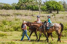 Pony Rides for Kids at Gunstock Ranch - Kahuku, HI