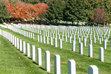 Arlington National Cemetery: Private Half-Day Walking Tour - Washington, DC