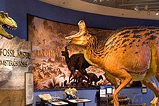 San Diego Natural History Museum in San Diego, California