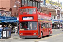 San Francisco Deluxe Sightseeing Tours - San Francisco, CA
