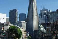 Super Saver by Day Tour - City Tour & Redwoods Visit in San Fransisco, California