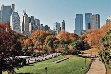 The Essential Central Park Guided Walking Tour in New York, New York
