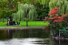 Visit Boston and Cambridge: Full Day Private Driving Tour - Boston, MA