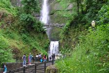 Waterfall Trolley Tour - Corbett, OR