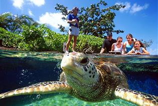Maui Ocean Center - The Hawaiian Aquarium in Wailuku, Maui, Hawaii