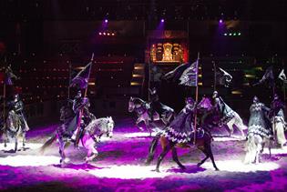 Medieval Times Dinner and Tournament Illinois in Schaumburg, Illinois