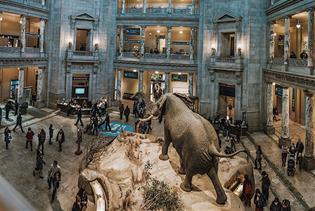 Smithsonian National Museum of Natural History Tour in Washington, District of Columbia